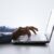 Fax to Email Features
