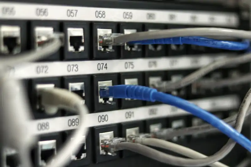 ethernet patch panel with blue and white cables plugged in